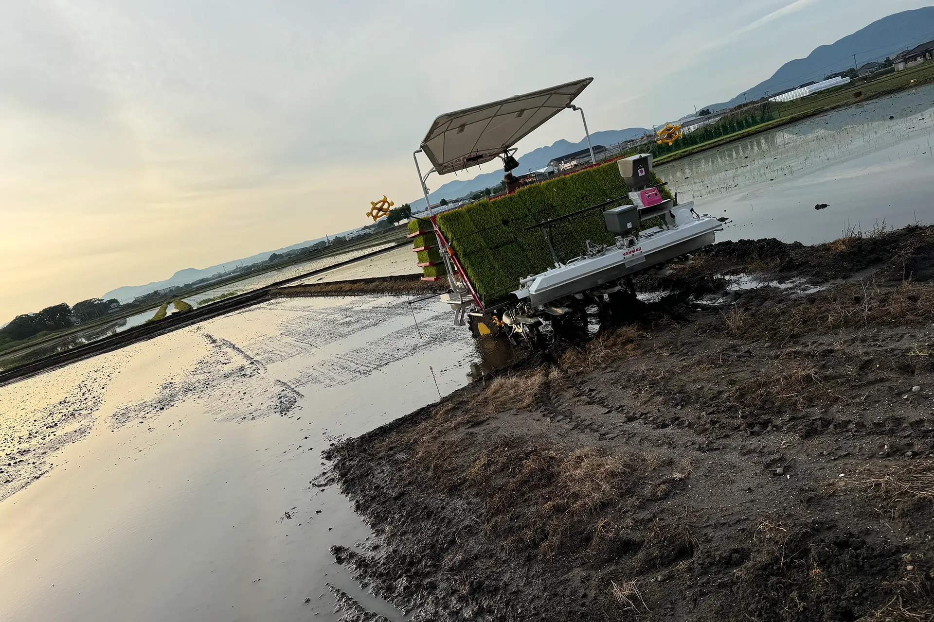 ホームページを公開しました